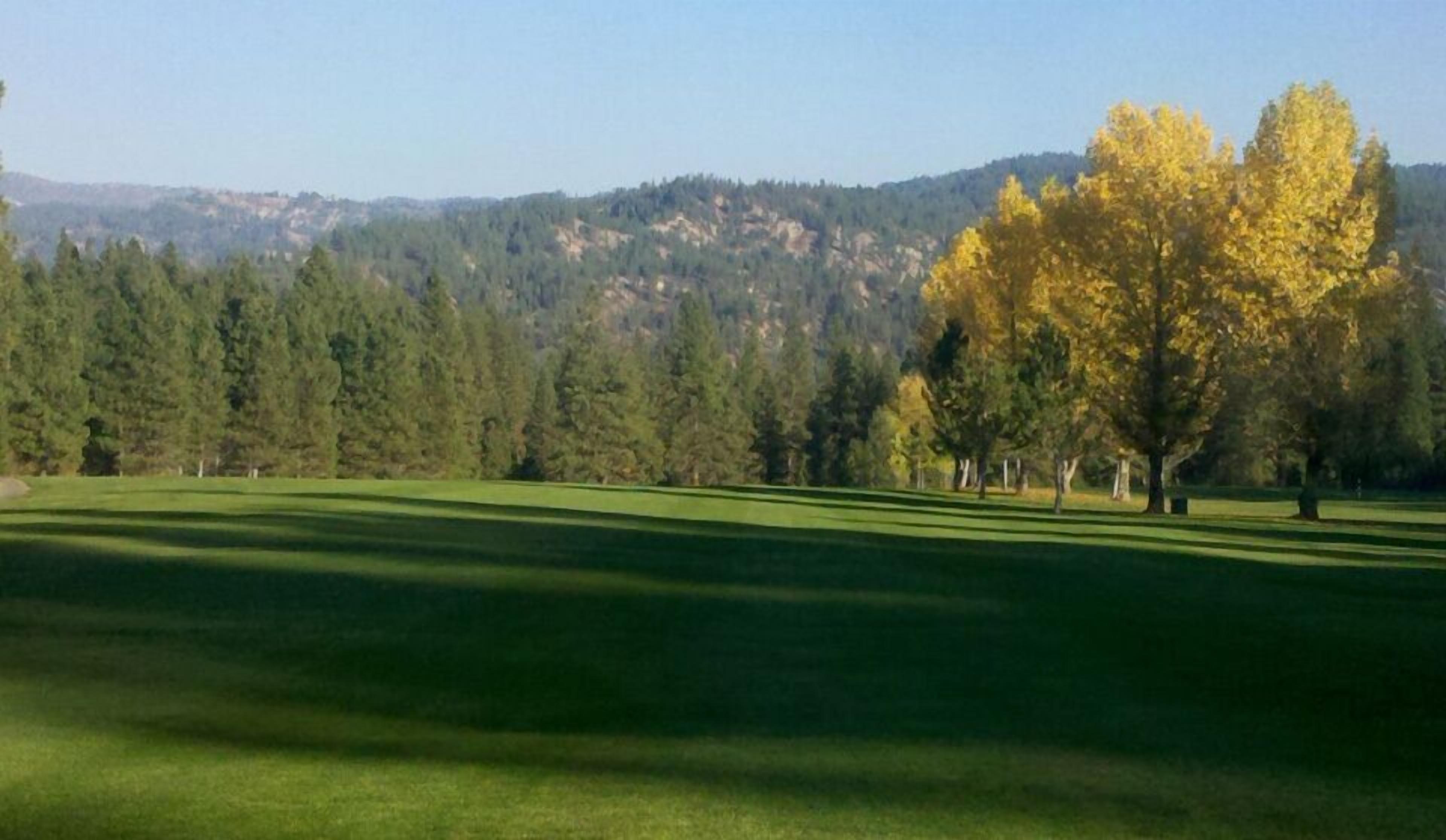 A golf course with a large tree in the foreground and a forested hill in the background.