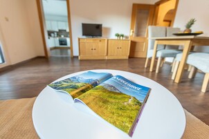 Televisión de pantalla plana, Netflix, servicios de streaming