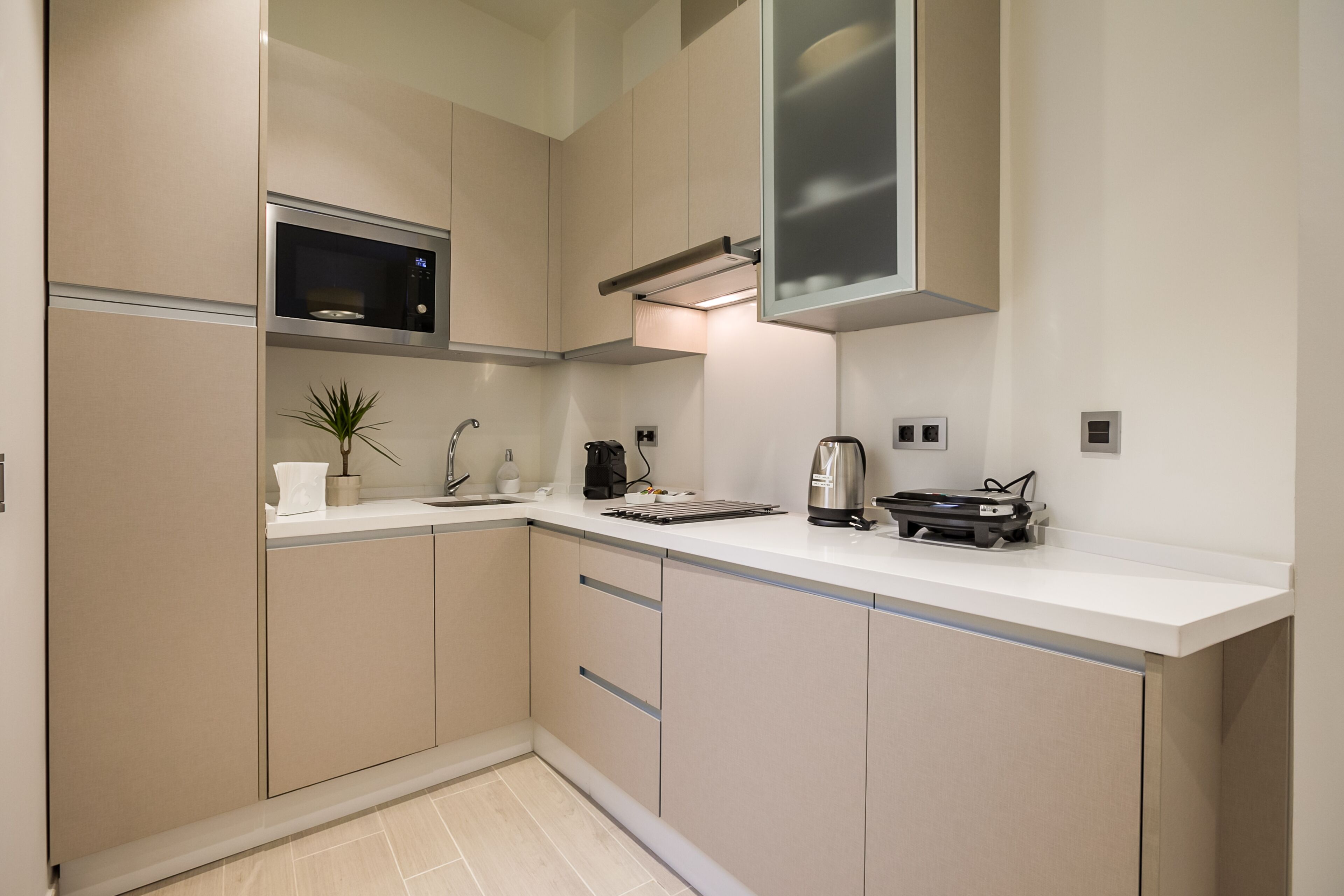 deluxe apartment, 1 bedroom, 2 bathrooms (2a) | private kitchen | full-sized fridge, microwave, stovetop, dishwasher