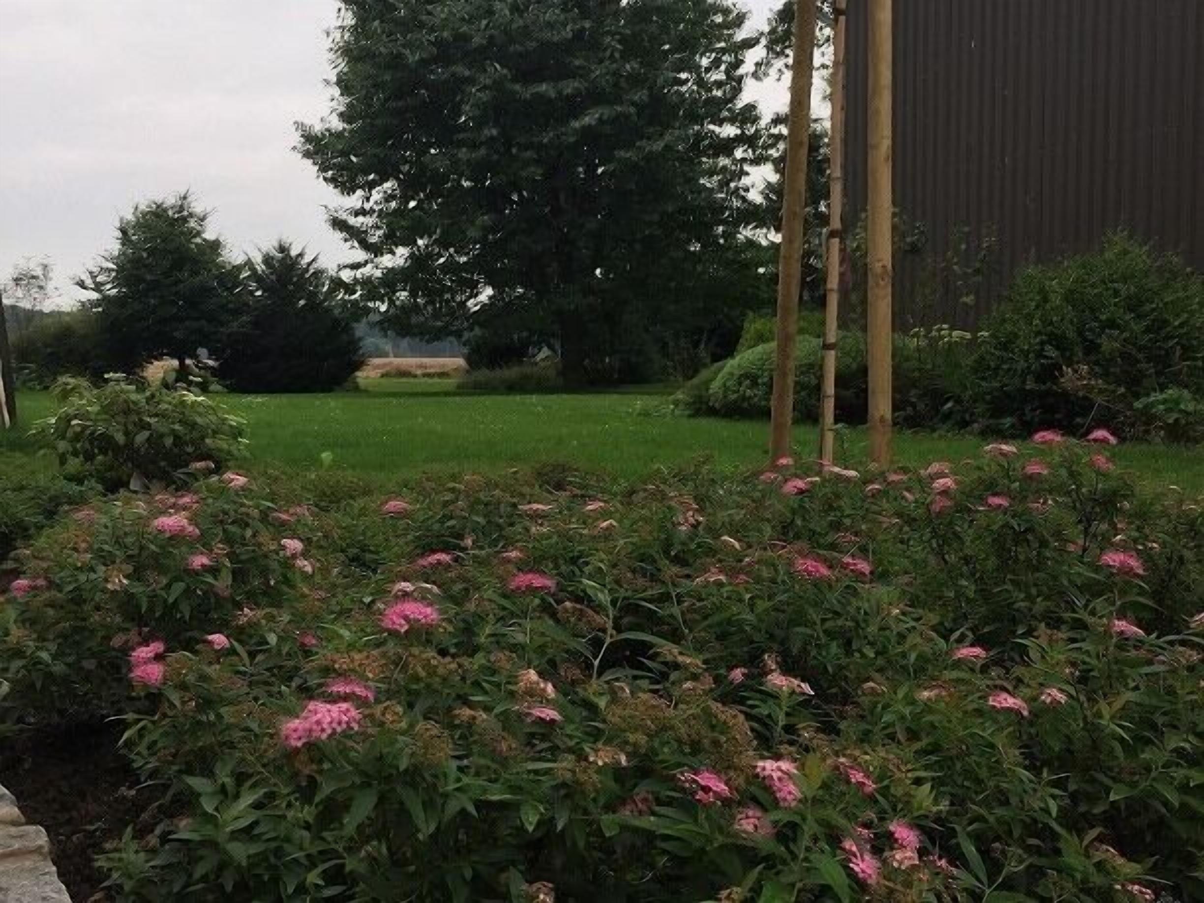 Foto - Ferienhof Pankalla