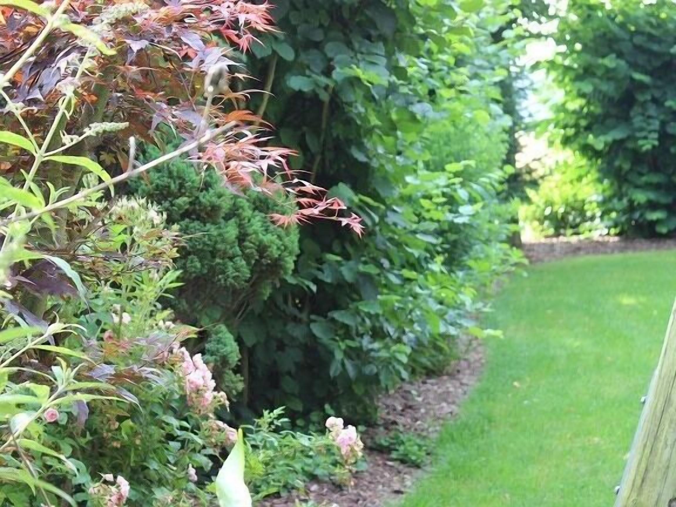 Foto - Ferienhof Pankalla