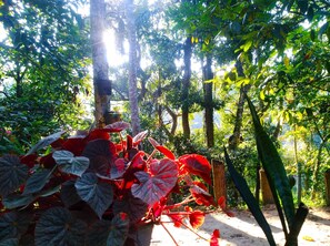 家庭客房 | 花園景