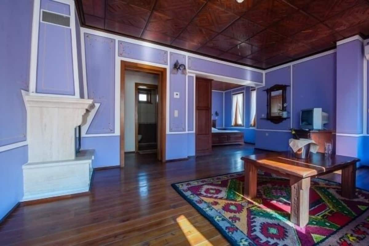 Une pièce spacieuse avec un plancher en bois, un tapis coloré et une grande fenêtre.