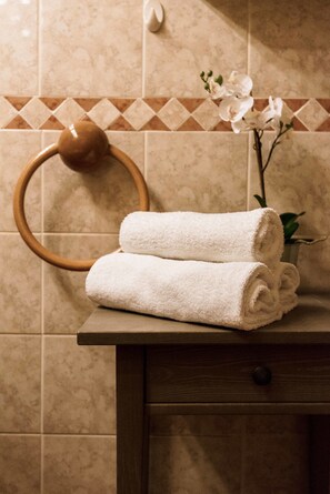 Exclusive-Apartment, 1 Schlafzimmer, Küche, Stadtblick | Badezimmerausstattung | Dusche, Haartrockner, Bidet, Handtücher