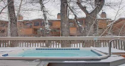Bridgepoint Condo 8 - Freshly Updated, Baldy Views, Walk to Downtown & Lifts