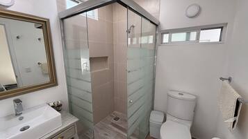 A modern bathroom with a glass-enclosed shower, a white sink, and a toilet.