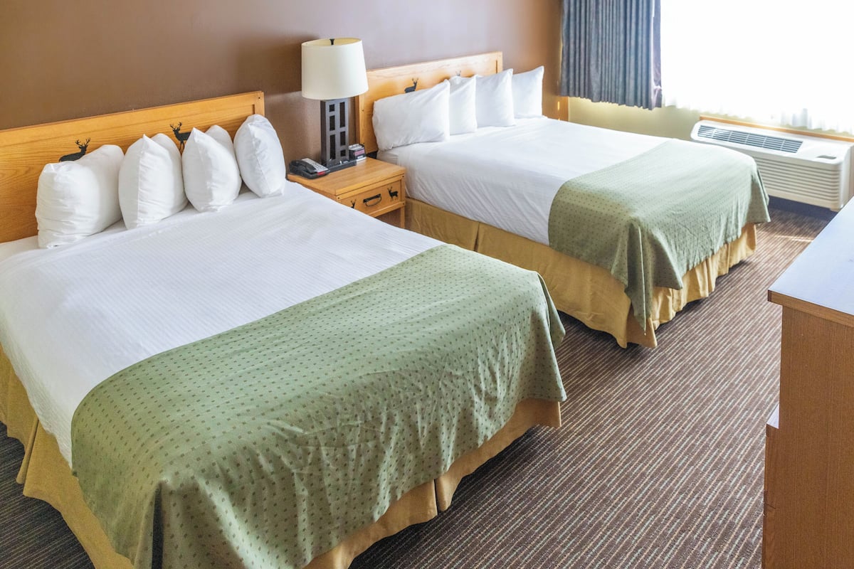 Cortinas blackout, ferros/tábuas de passar roupa, Wi-Fi de cortesia