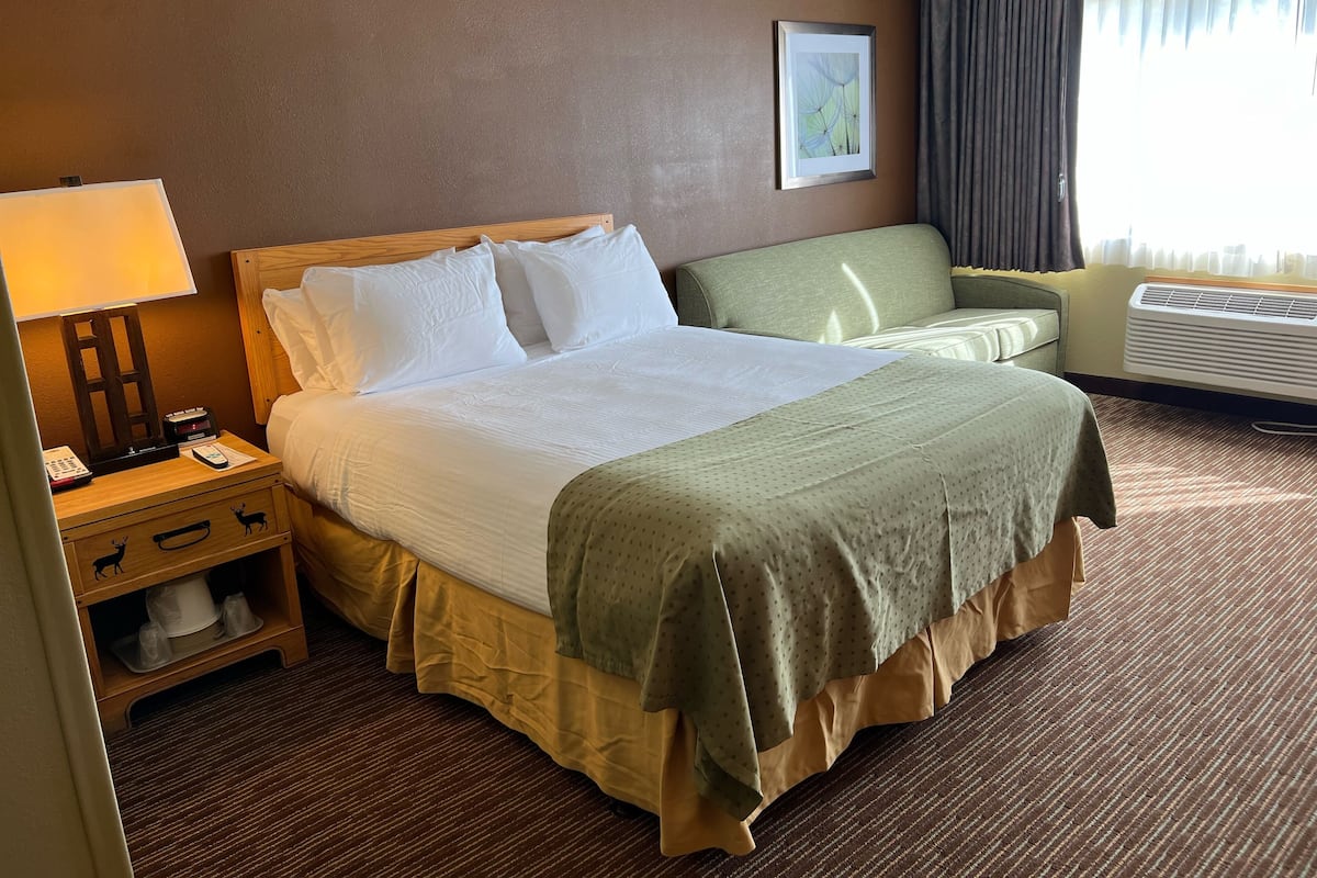 Basic Room, 1 Queen Bed with Sofa bed, Accessible | 1 bedroom, blackout drapes, iron/ironing board, free WiFi