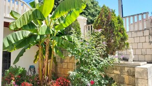 Un jardín con palmeras de plátano, plantas con flores y una estatua.