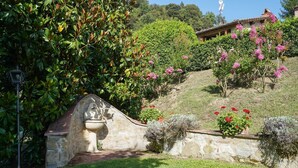 A stone fountain in a garden with lush greenery and flowering plants. - Stunning private villa for 4 guests with A/C, private pool, WIFI, TV, patio and panoramic view (Vicchio)
