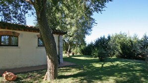 A building with a tiled roof and a small garden area with a tree and grass. - Pienza B - Apartment with pool (Monticchiello)