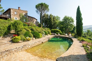 Pool - Stunning private villa for 12 people with A/C, private pool, WIFI, TV, patio and panoramic view (Greve In Chianti)
