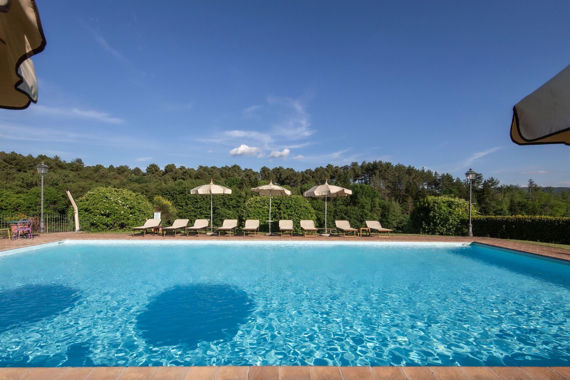 Une piscine entourée de verdure et d’arbres, avec des chaises longues et des parasols.