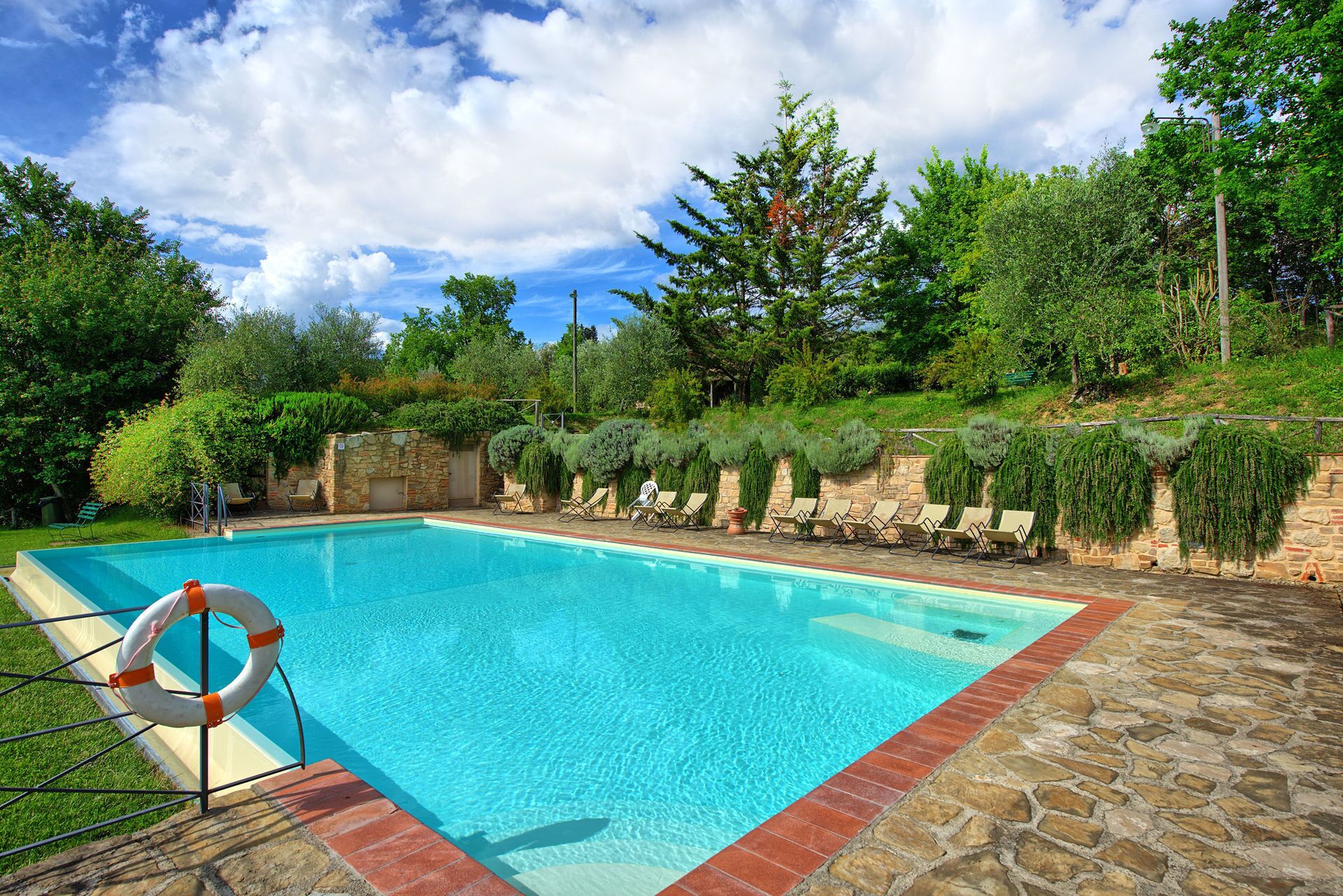 A rectangular swimming pool with a stone border, surrounded by lush greenery and trees.