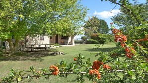 Un edificio rustico in pietra con una panchina di legno in primo piano, circondato da rigogliosa vegetazione e un cielo sereno.