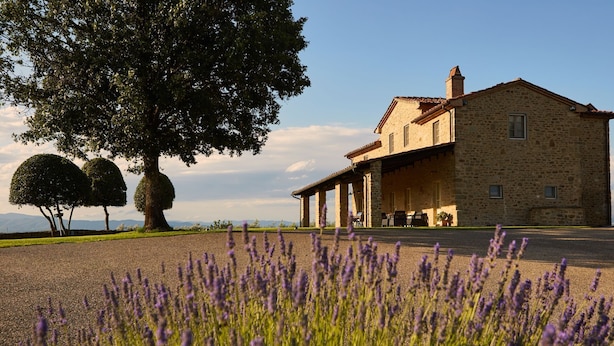 Edificio de piedra con un porche cubierto, rodeado de campos de lavanda y dos árboles grandes.