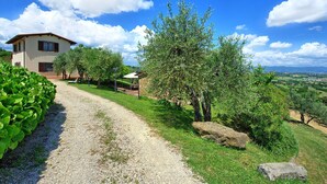 A rural house with a gravel path leading to it, surrounded by greenery and olive trees. - Villa Ulivi - Holiday Country Villa in Lucignano, Valdichiana, Tuscany (Lucignano)