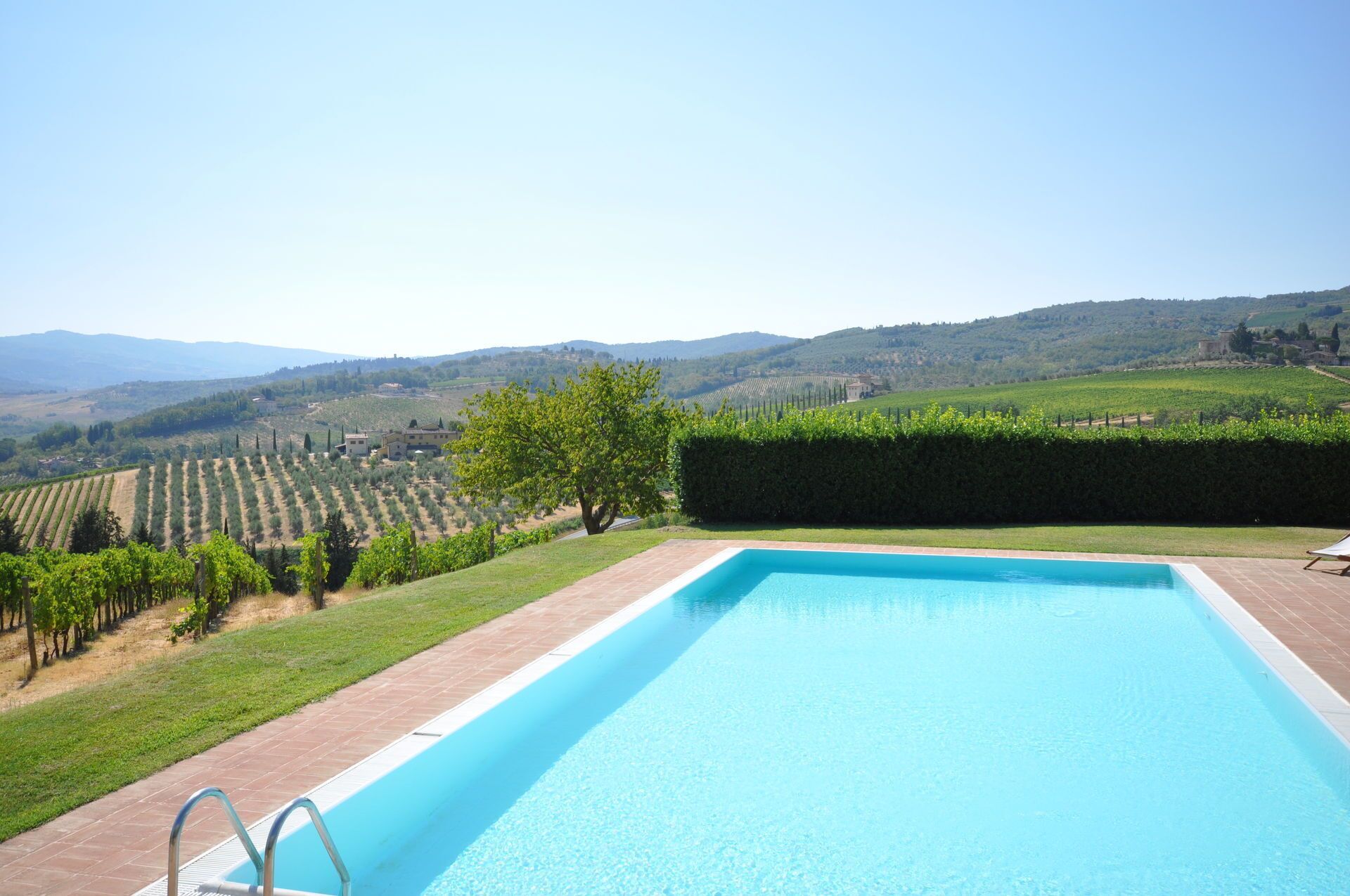 A rectangular swimming pool with a clear blue water surface, surrounded by a brick deck. In the background, there is a vineyard with rows of grapevines and a hedge.