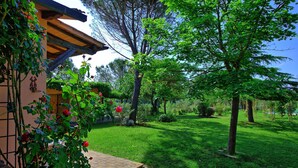 A well-maintained garden with a variety of plants and a wooden pergola structure.