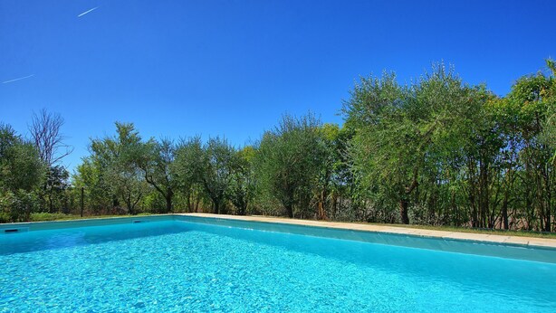A clear blue swimming pool surrounded by lush greenery.