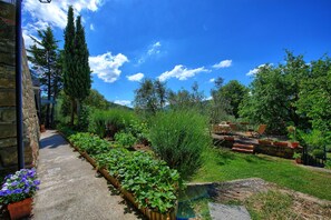A garden with a stone pathway, various plants, and outdoor seating.