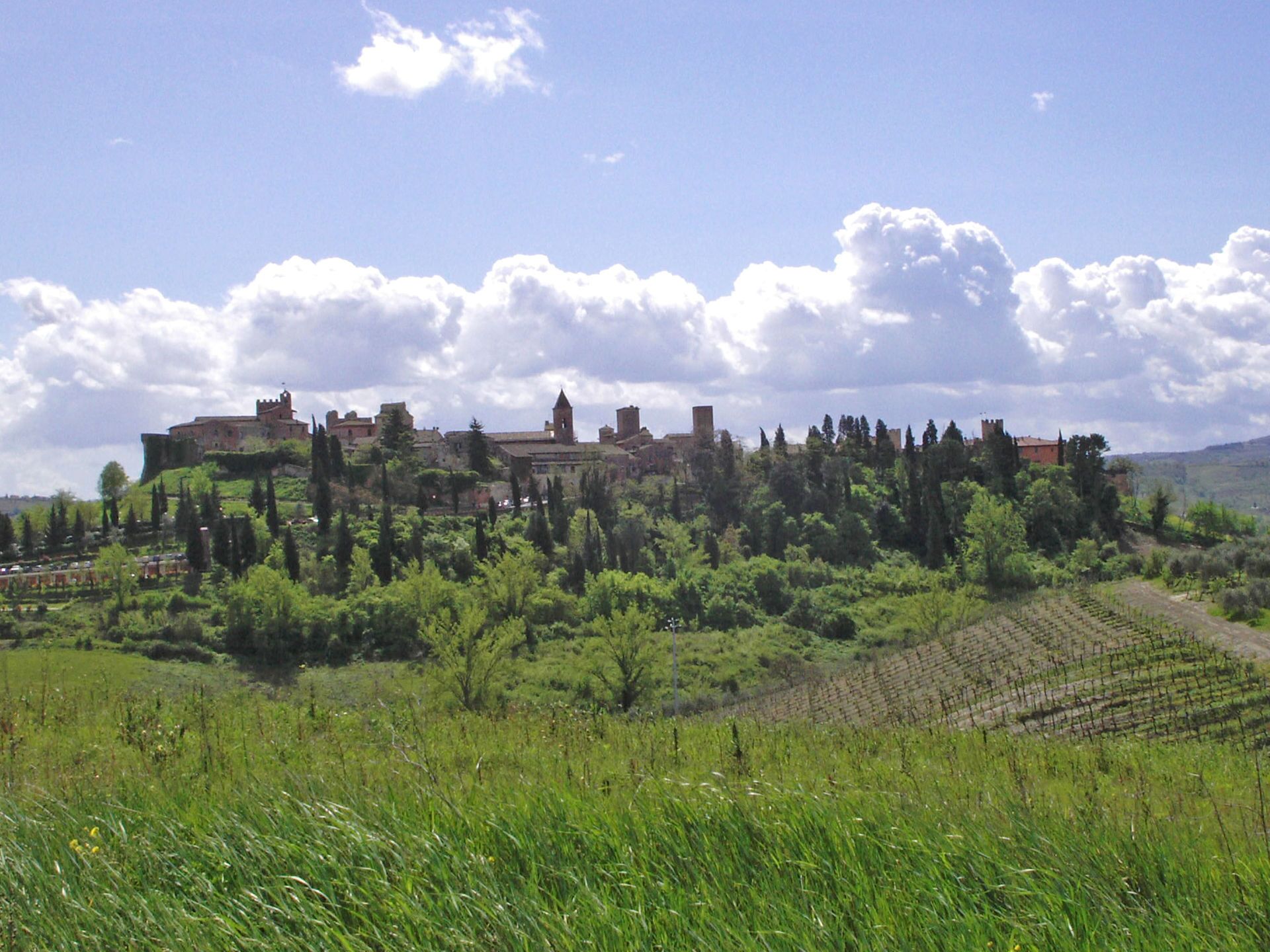 A historic castle surrounded by lush greenery and vineyards.