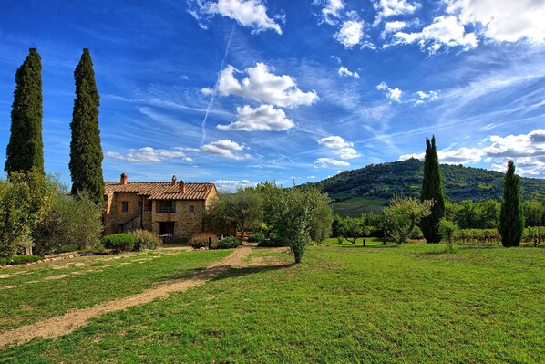 Exterior - Brunello 1 - Apartment with swimming pool (Montalcino)