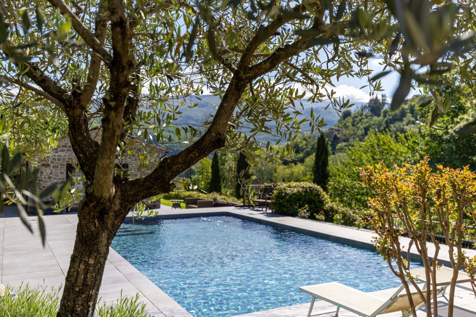 A swimming pool with a view of mountains, surrounded by trees and a stone building.
