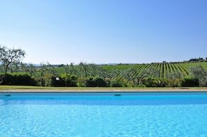 A swimming pool with a vineyard in the background. - Glicini 3 - Apartment with swimming pool (Noce)