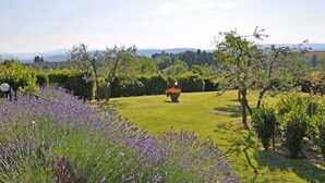 A well-maintained garden with a lawn, lavender plants, and a central flower pot. - Glicini 2 - Apartment with swimming pool (Noce)