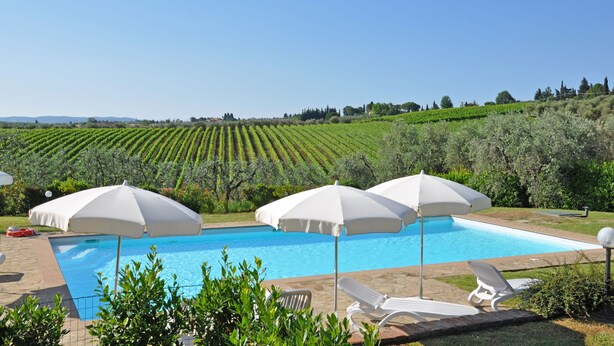 Une piscine bordée de parasols blancs et de chaises longues, entourée d’un paysage de vignes.