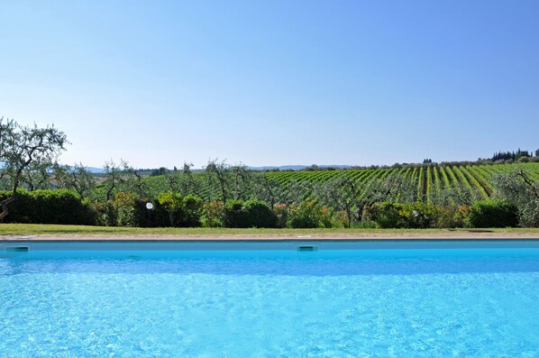 A swimming pool with a vineyard in the background.