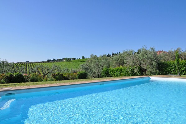 A swimming pool with clear blue water, surrounded by lush greenery and olive trees.