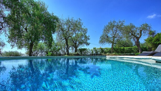 A clear swimming pool surrounded by trees and a clear sky.