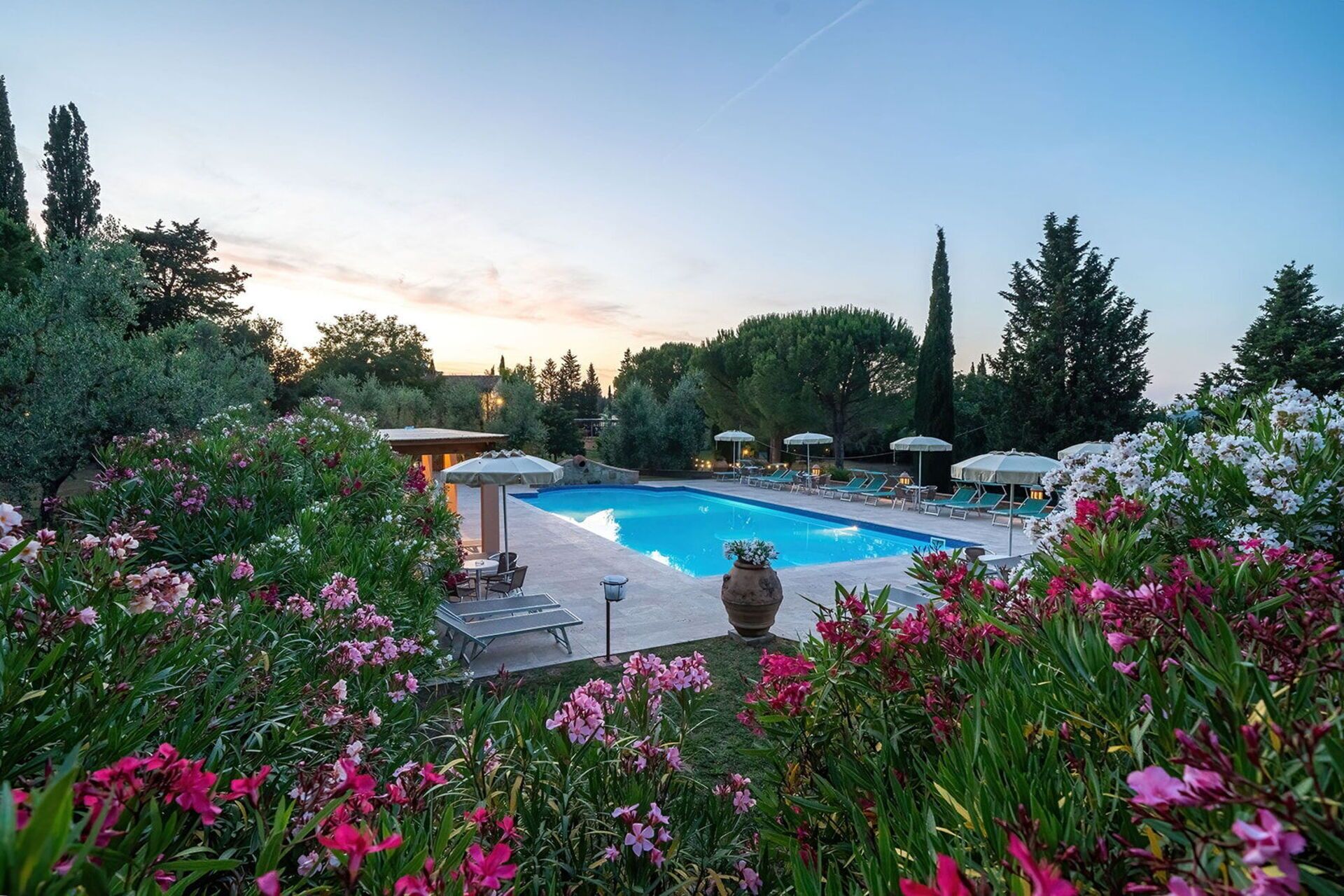 A swimming pool surrounded by lush greenery and flowers, with lounge chairs and umbrellas.