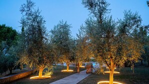 A pathway lined with trees illuminated by ground lights, leading to a structure in the background.