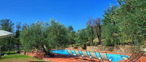 Une piscine entourée d’arbres et d’un mur de pierre, avec des chaises longues à proximité.