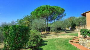 Un jardín con un árbol grande, un muro de piedra y un edificio de techo inclinado.