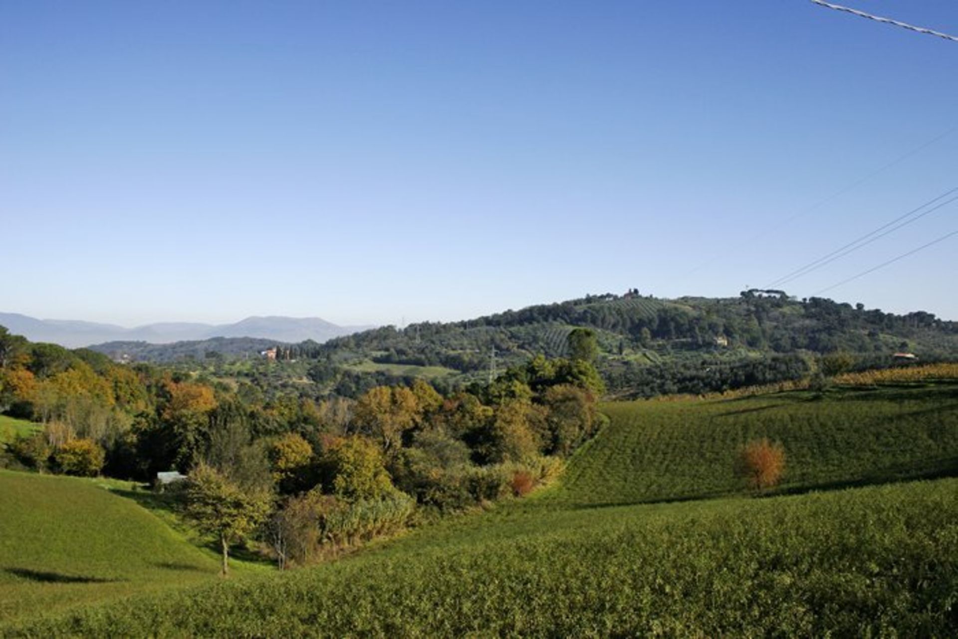 A rural landscape with rolling hills, fields, and scattered trees.