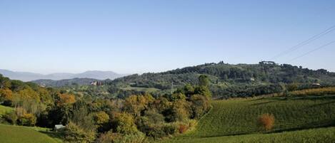 A rural landscape with rolling hills, fields, and scattered trees.