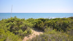 A coastal landscape with dense greenery and a clear view of the ocean.