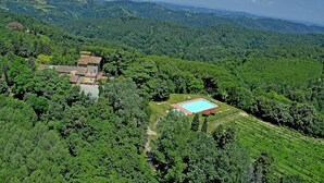 Eine Villa, umgeben von üppigem Grün und einem Schwimmbad.