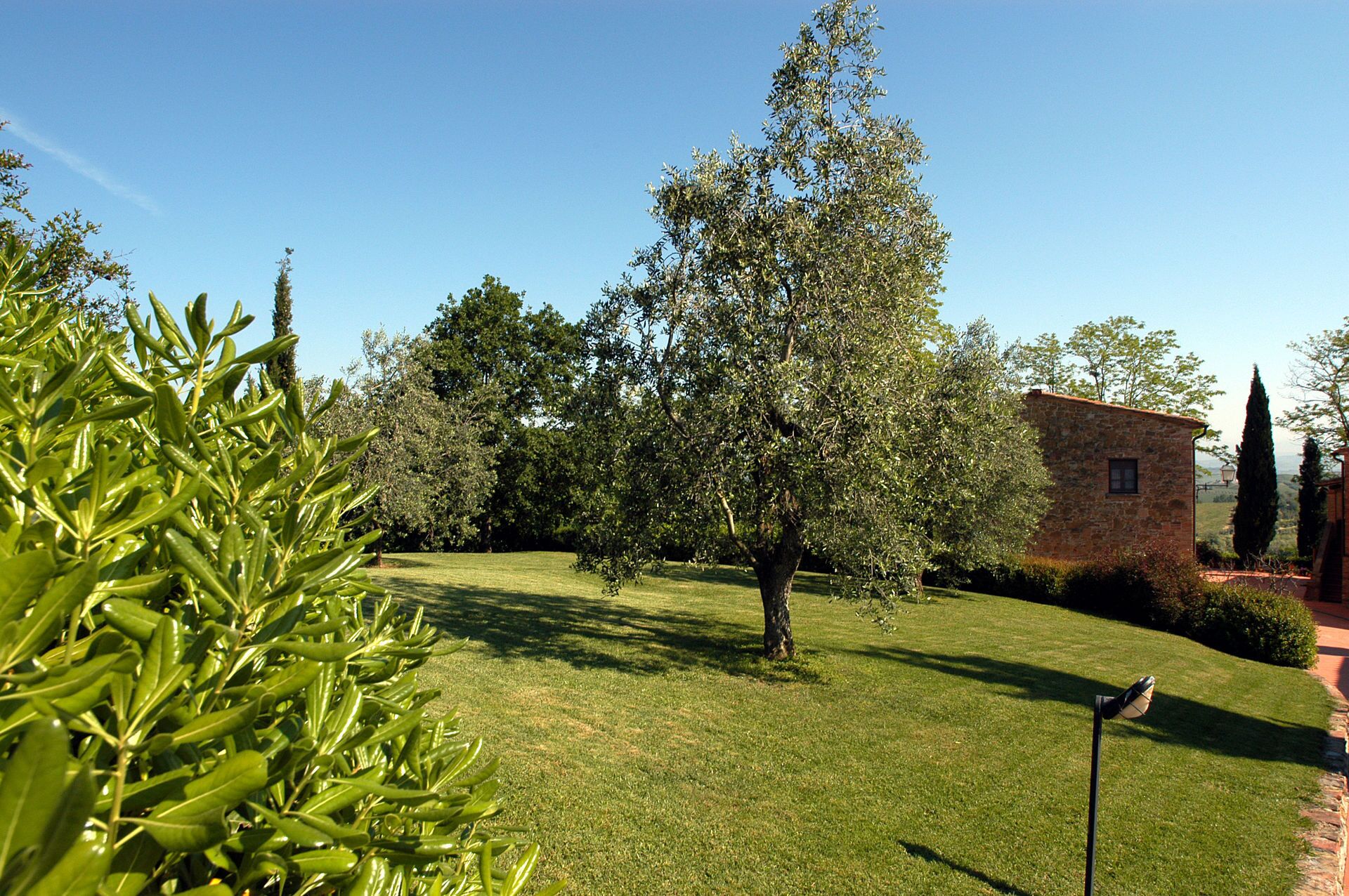 A well-maintained grassy area with a large tree, a stone building, and a clear blue sky.