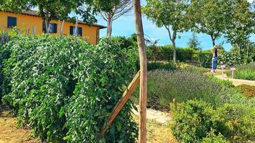 Parco della struttura