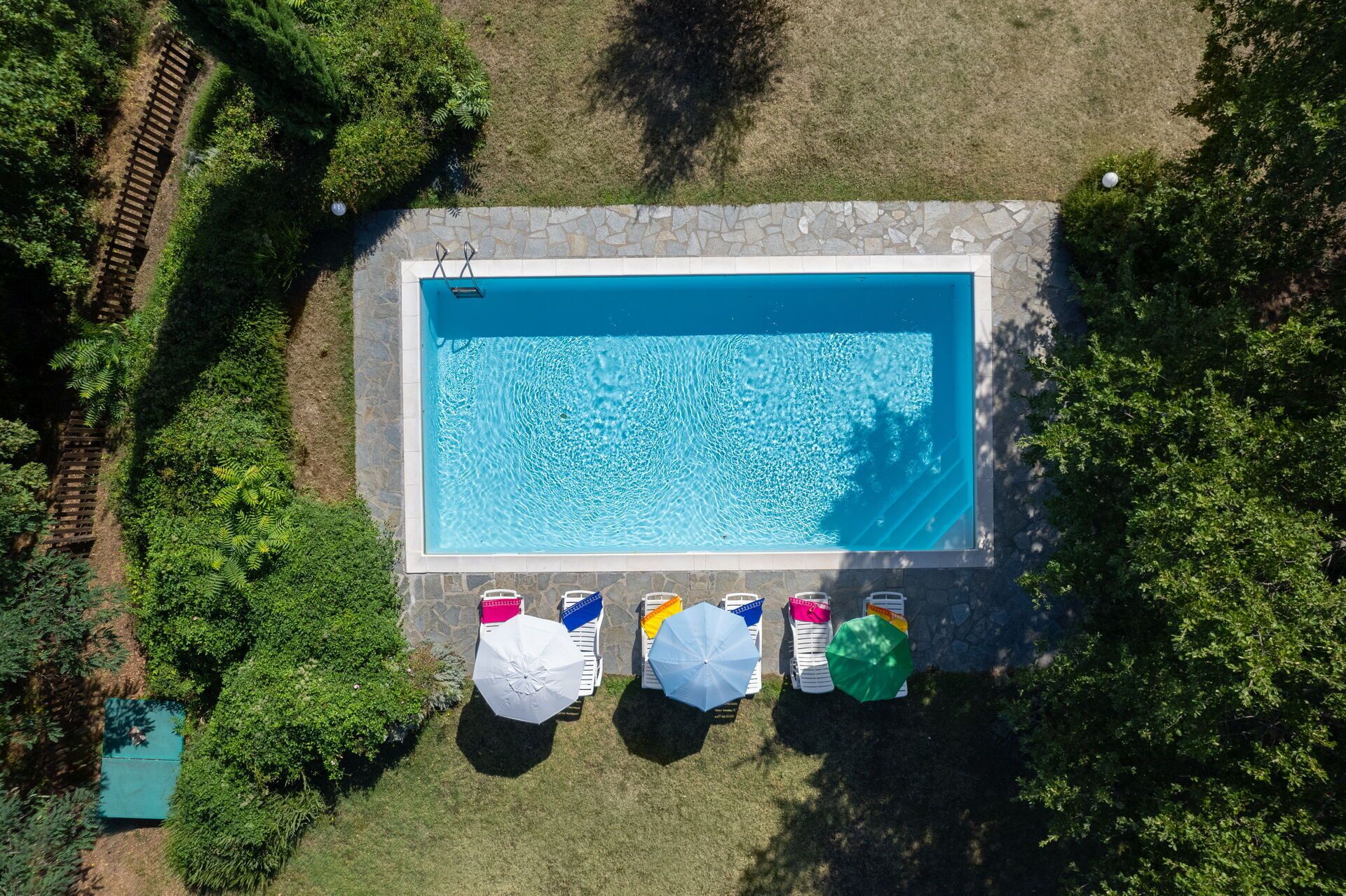 Eine Vogelperspektive auf einen rechteckigen Pool mit Steinrand, umgeben von üppiger Vegetation.