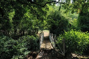 Un puente de madera con barandillas de metal en un área boscosa.