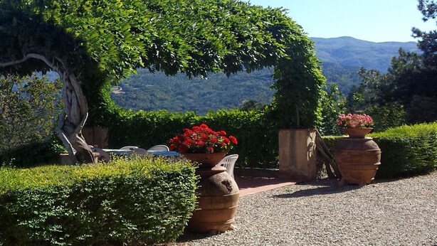 Un jardín con una pérgola cubierta de follaje, plantas en macetas con flores rojas y un camino de grava.