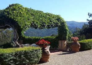 A garden with a pergola covered in greenery, potted plants with red flowers, and a gravel path.