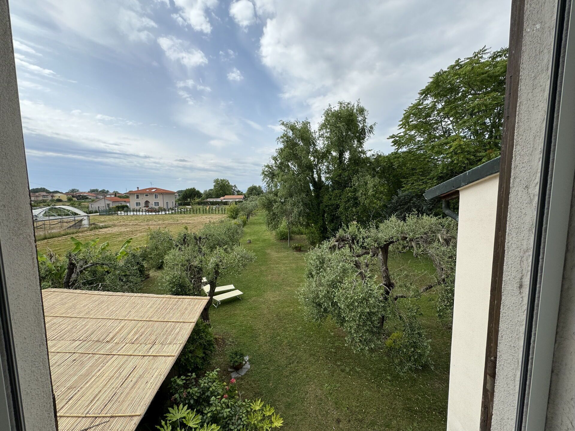 Une vue depuis une fenêtre donnant sur un espace verdoyant, avec des arbres et un bâtiment en arrière-plan.