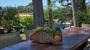 Ein Holztisch mit einem Korbwannen geflochtenen Korb, der Bananen, Trauben und eine Orange enthält.